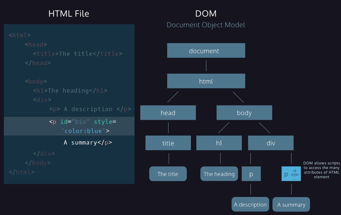 DOM tree showing how scripts can access HTML element attributes like id and style through the DOM